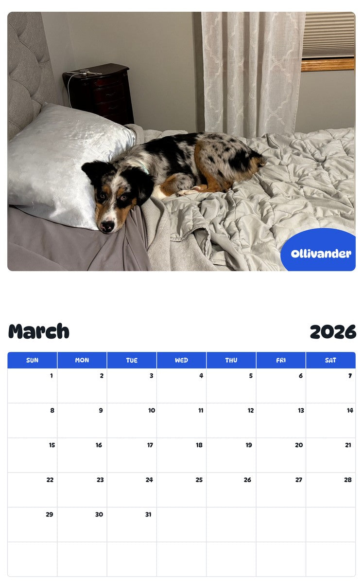 November 2025 - October 2026 Ollivander - Pawidols Pet Calendar