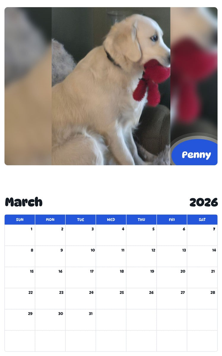 November 2025 - October 2026 Penny - Pawidols Pet Calendar