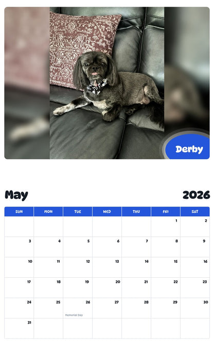 2026 - 2027 Derby - Pawidols Pet Calendar