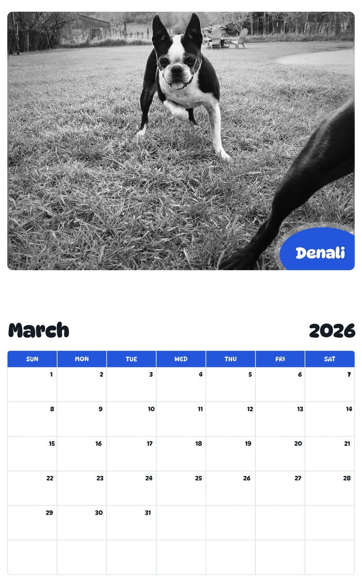 November 2025 - October 2026 Denali - Pawidols Pet Calendar