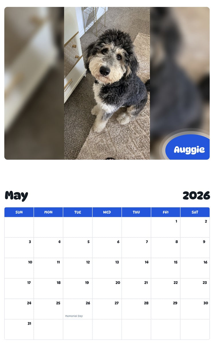 2026 - 2027 Auggie - Pawidols Pet Calendar