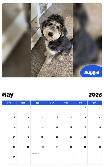 2026 - 2027 Auggie - Pawidols Pet Calendar