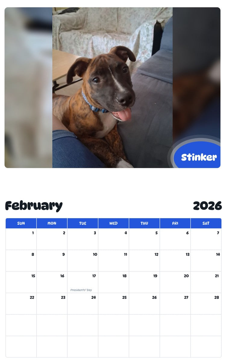 October 2025 - September 2026 Stinker - Pawidols Pet Calendar