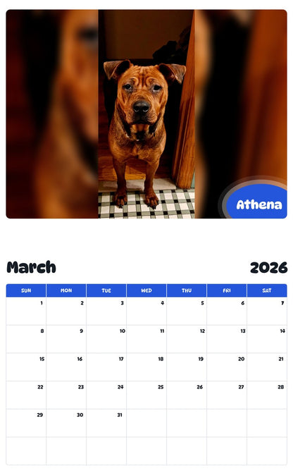 November 2025 - October 2026 Athena - Pawidols Pet Calendar