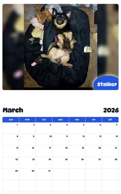 November 2025 - October 2026 Stalker - Pawidols Pet Calendar