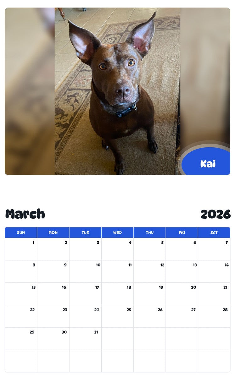 November 2025 - October 2026 Kai - Pawidols Pet Calendar
