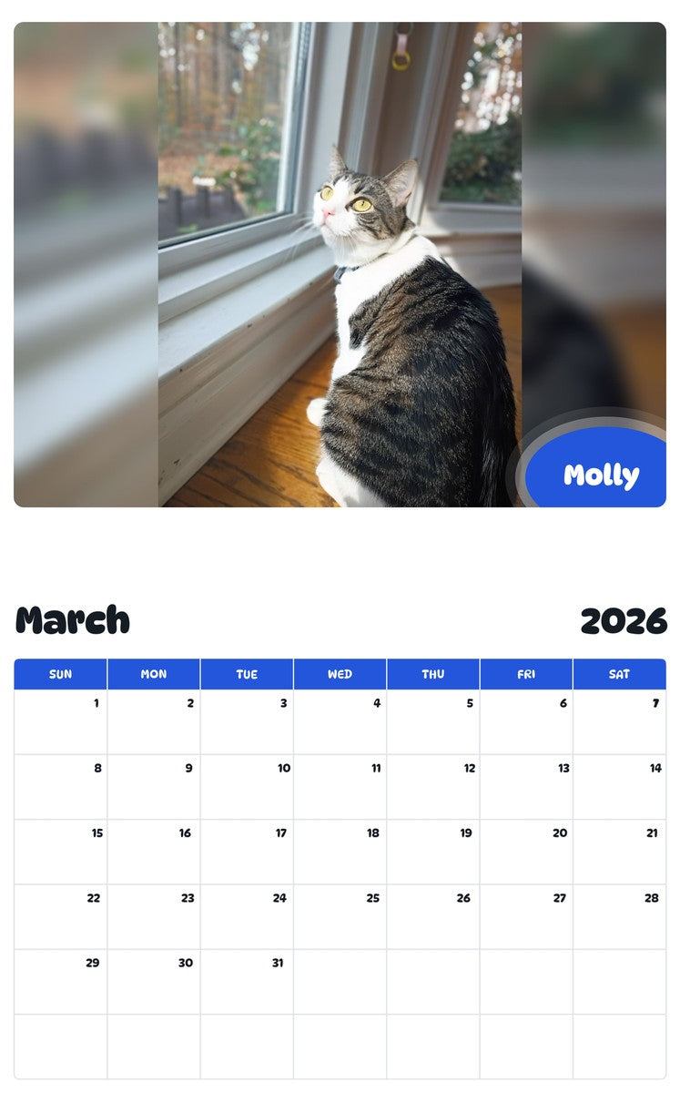 November 2025 - October 2026 Molly - Pawidols Pet Calendar
