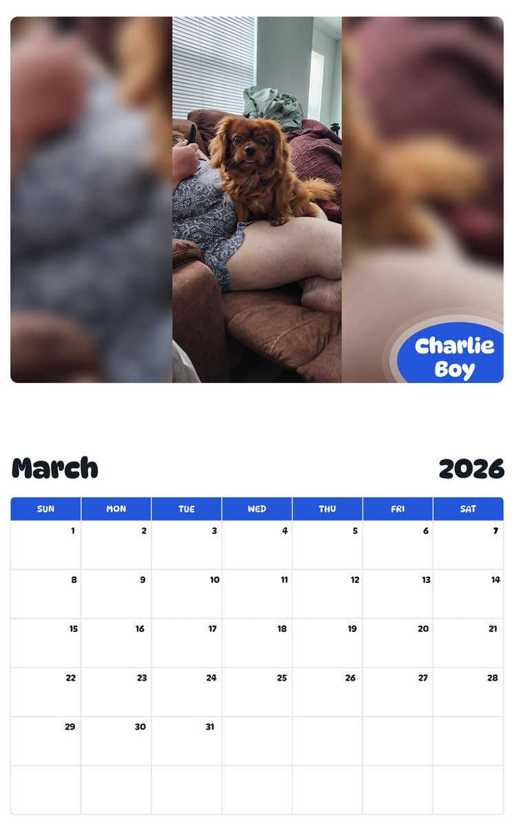 November 2025 - October 2026 Charlie Boy - Pawidols Pet Calendar