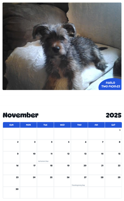 July 2025 - June 2026 Pablo Two Pickles - Pawidols Pet Calendar