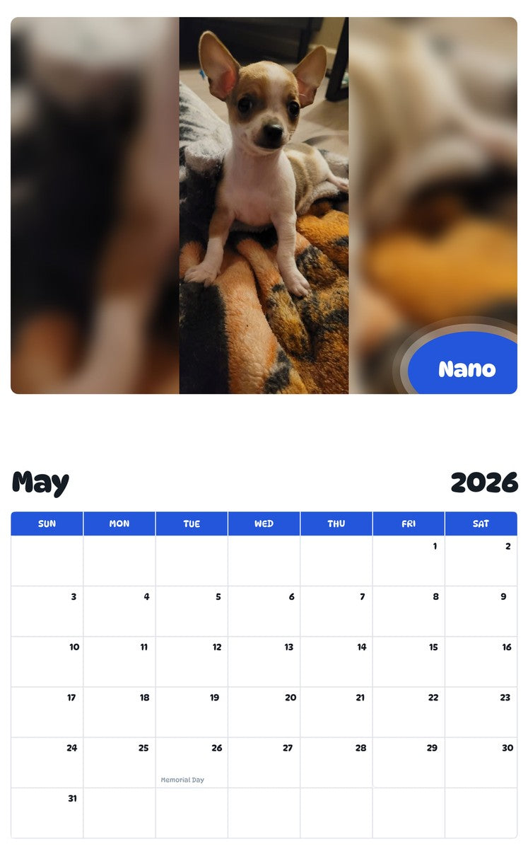 2026 - 2027 Nano - Pawidols Pet Calendar