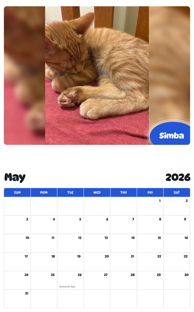 2026 - 2027 Simba - Pawidols Pet Calendar