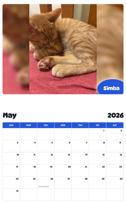 2026 - 2027 Simba - Pawidols Pet Calendar