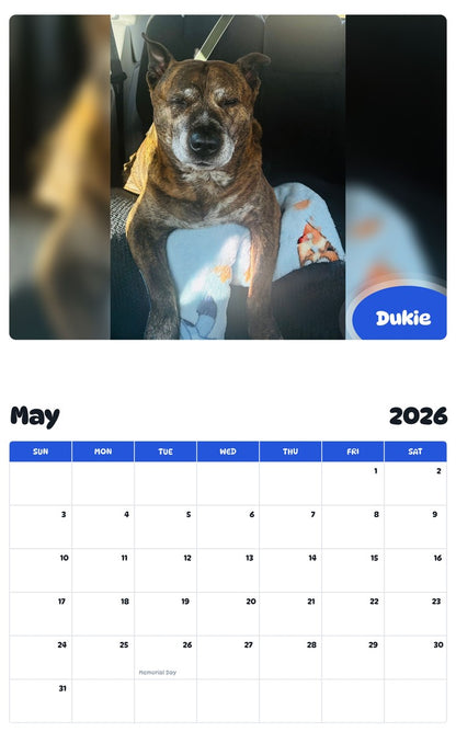 2026 - 2027 Dukie - Pawidols Pet Calendar