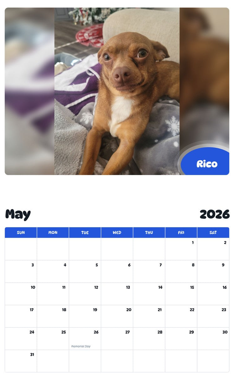 2026 - 2027 Rico - Pawidols Pet Calendar