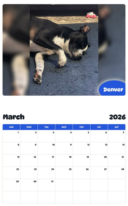 November 2025 - October 2026 Denver - Pawidols Pet Calendar