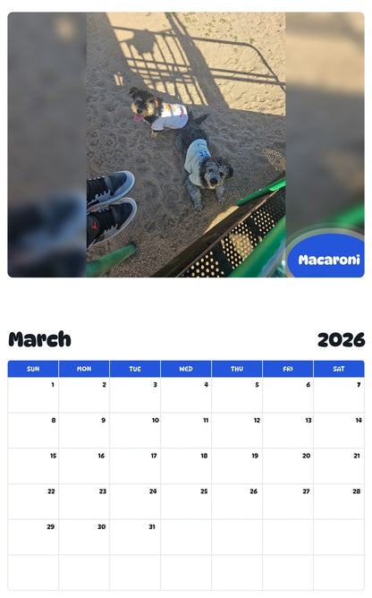 November 2025 - October 2026 Macaroni - Pawidols Pet Calendar