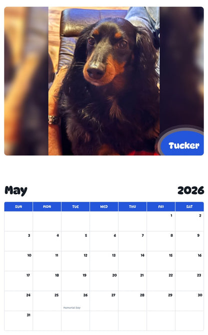 2026 - 2027 Tucker - Pawidols Pet Calendar
