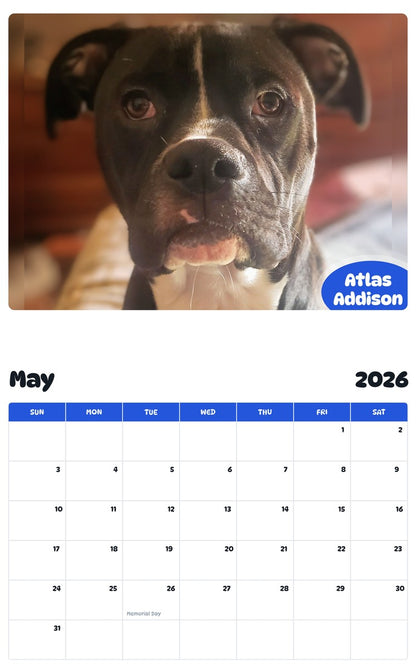 2026 - 2027 Atlas Addison - Pawidols Pet Calendar