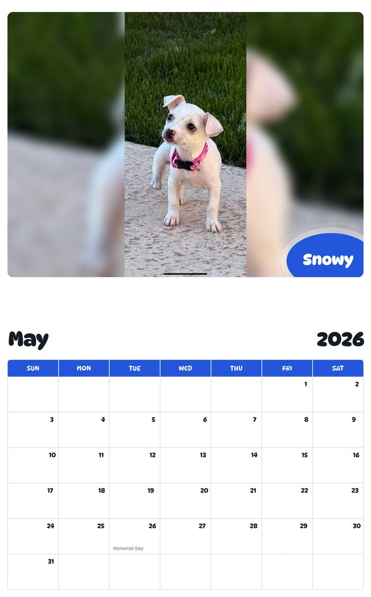 2026 - 2027 Snowy - Pawidols Pet Calendar