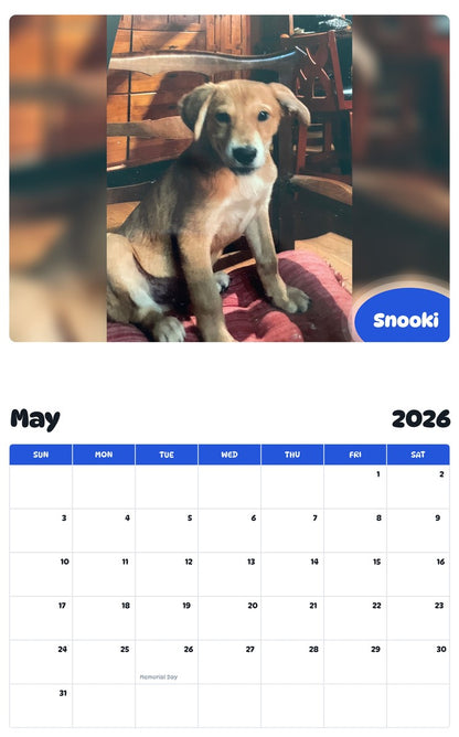 2026 - 2027 Snooki - Pawidols Pet Calendar