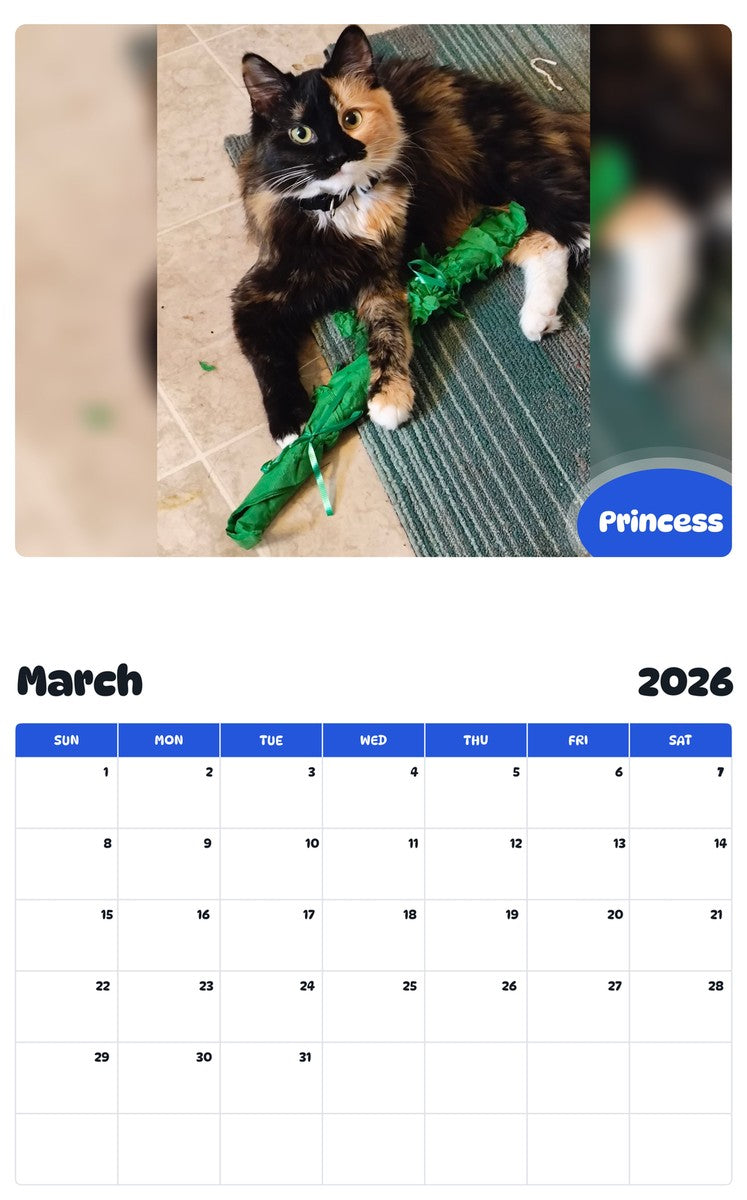 November 2025 - October 2026 Princess - Pawidols Pet Calendar