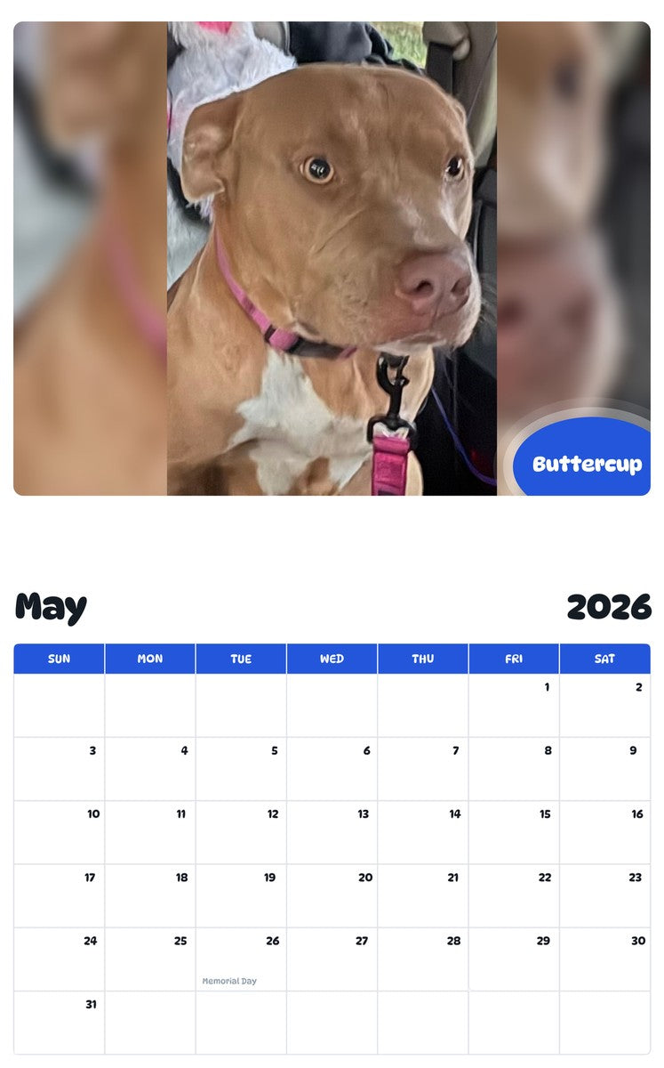 2026 - 2027 Buttercup - Pawidols Pet Calendar