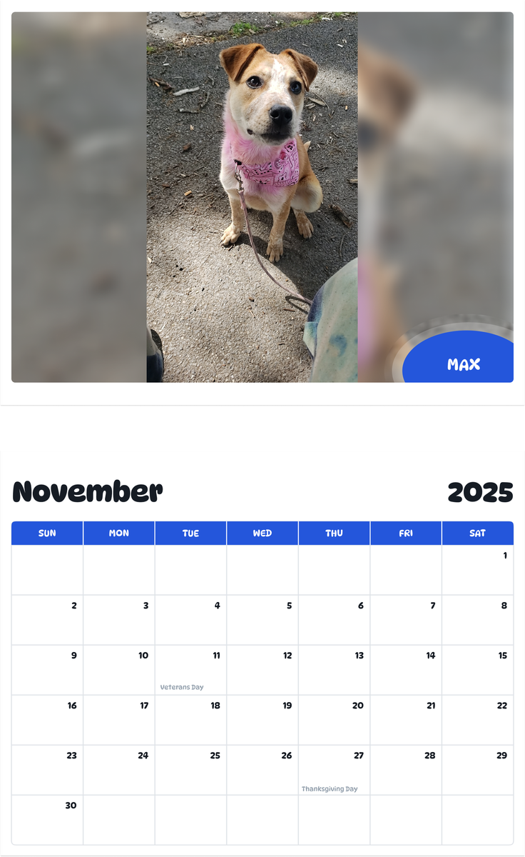 July 2025 - June 2026 Max - Pawidols Pet Calendar