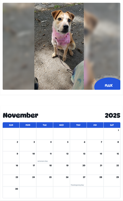 July 2025 - June 2026 Max - Pawidols Pet Calendar
