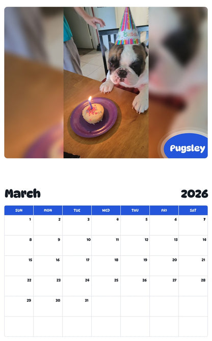 November 2025 - October 2026 Pugsley - Pawidols Pet Calendar