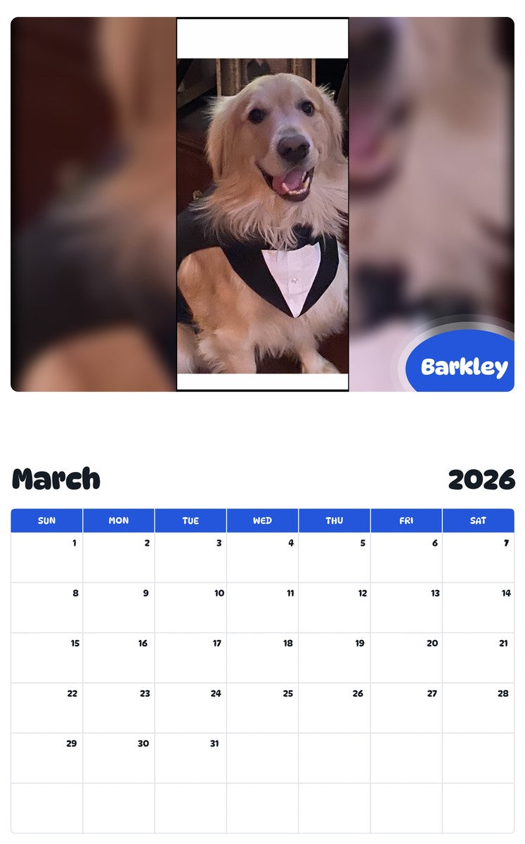 November 2025 - October 2026 Barkley - Pawidols Pet Calendar
