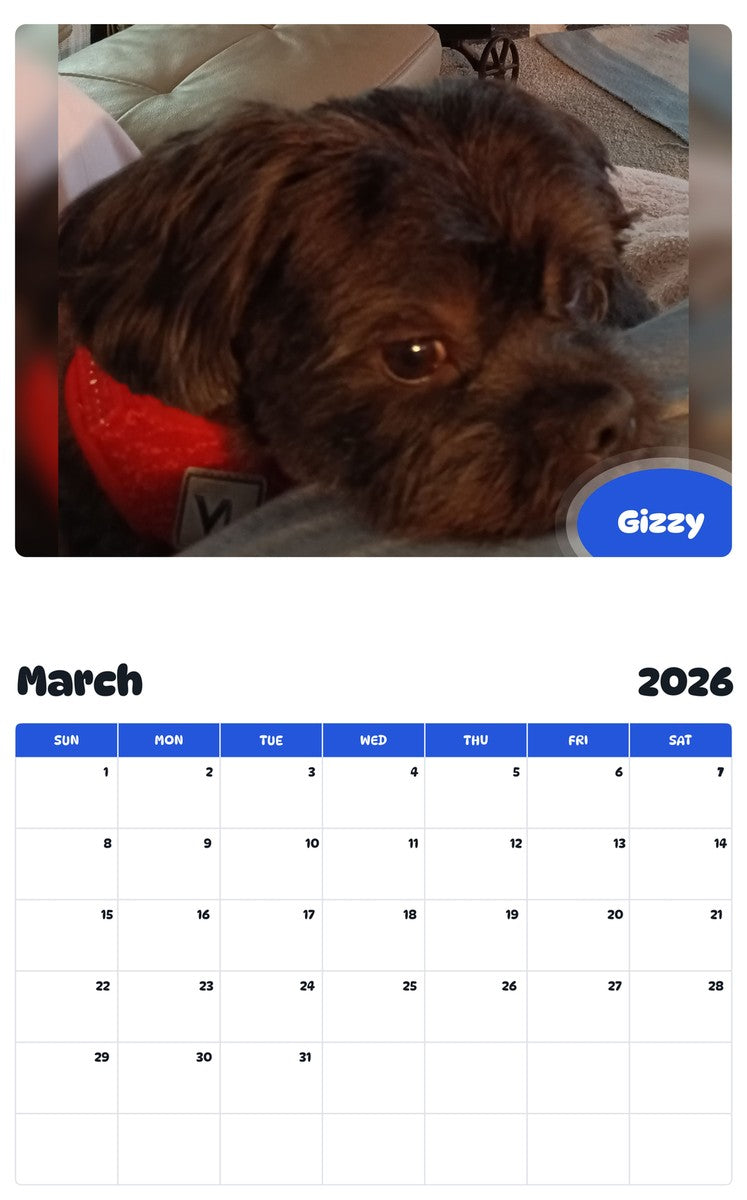 November 2025 - October 2026 Gizzy - Pawidols Pet Calendar