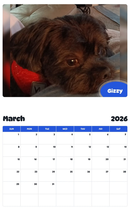 November 2025 - October 2026 Gizzy - Pawidols Pet Calendar