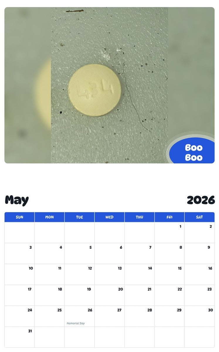 2026 - 2027 Boo Boo - Pawidols Pet Calendar