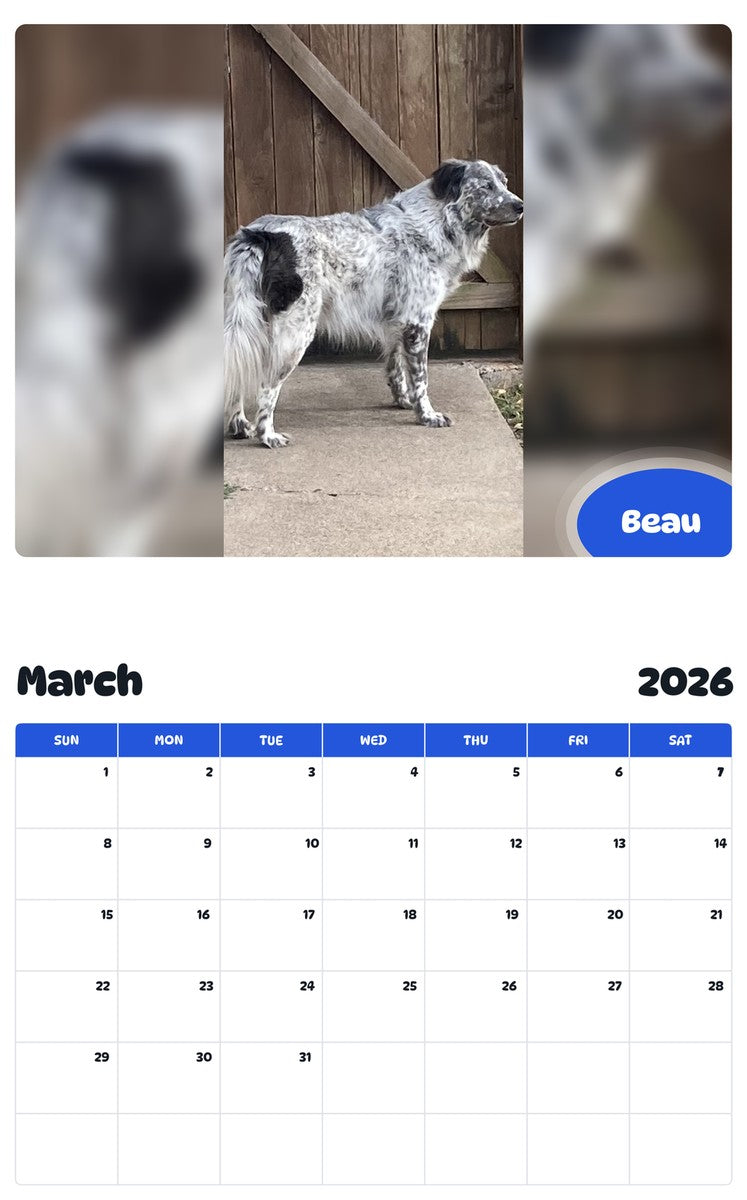 November 2025 - October 2026 Beau - Pawidols Pet Calendar
