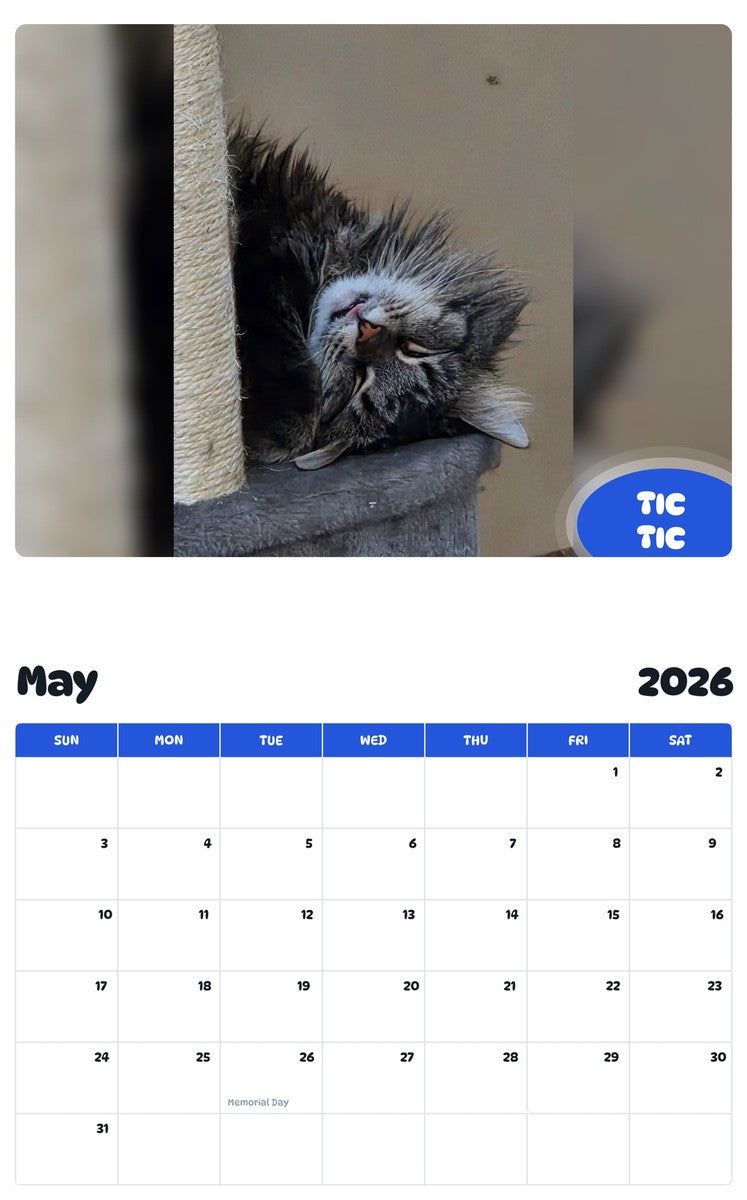 2026 - 2027 TIC TIC - Pawidols Pet Calendar