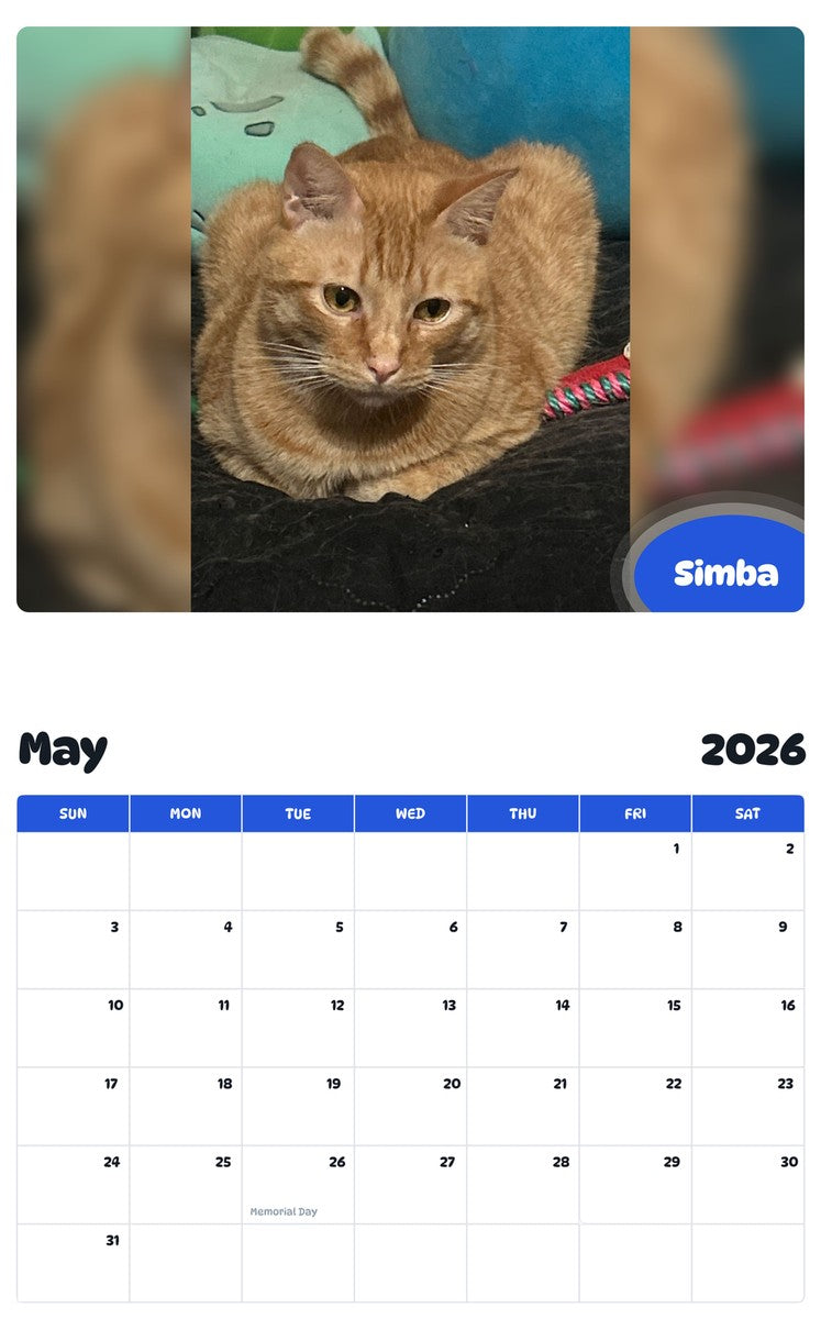 2026 - 2027 Simba - Pawidols Pet Calendar