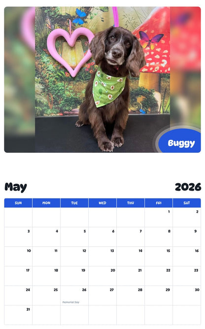 2026 - 2027 Buggy - Pawidols Pet Calendar