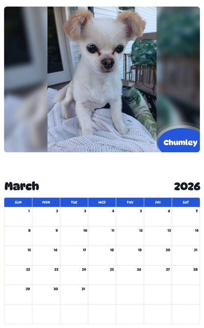 November 2025 - October 2026 Chumley - Pawidols Pet Calendar