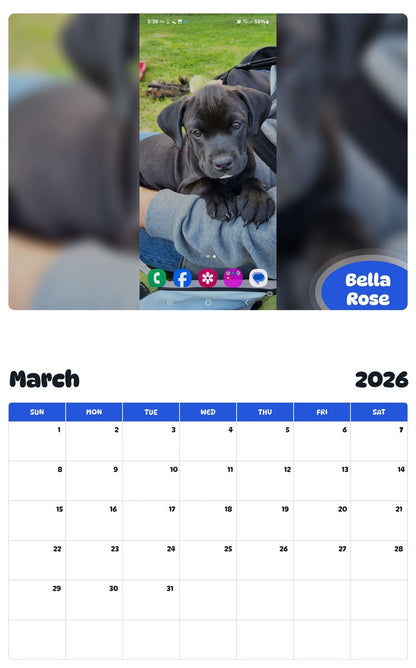 November 2025 - October 2026 Bella Rose - Pawidols Pet Calendar