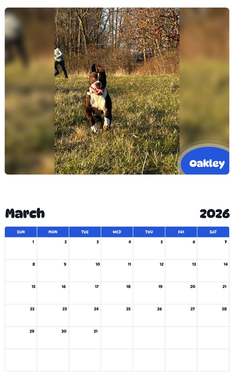 November 2025 - October 2026 Oakley - Pawidols Pet Calendar