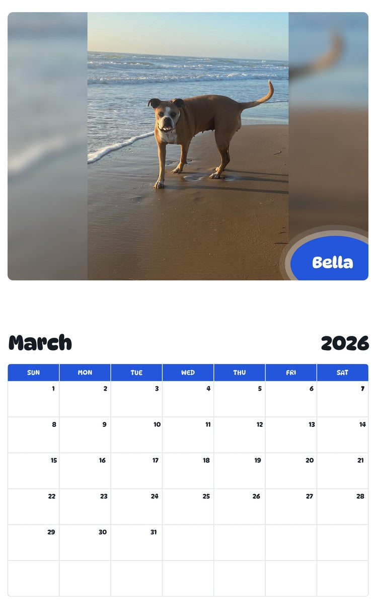 November 2025 - October 2026 Bella - Pawidols Pet Calendar