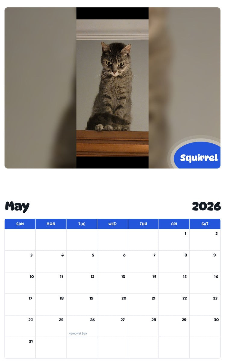 2026 - 2027 Squirrel - Pawidols Pet Calendar