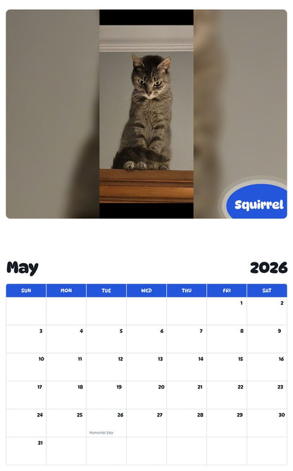 2026 - 2027 Squirrel - Pawidols Pet Calendar