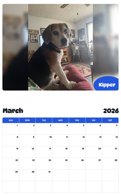November 2025 - October 2026 Kipper - Pawidols Pet Calendar