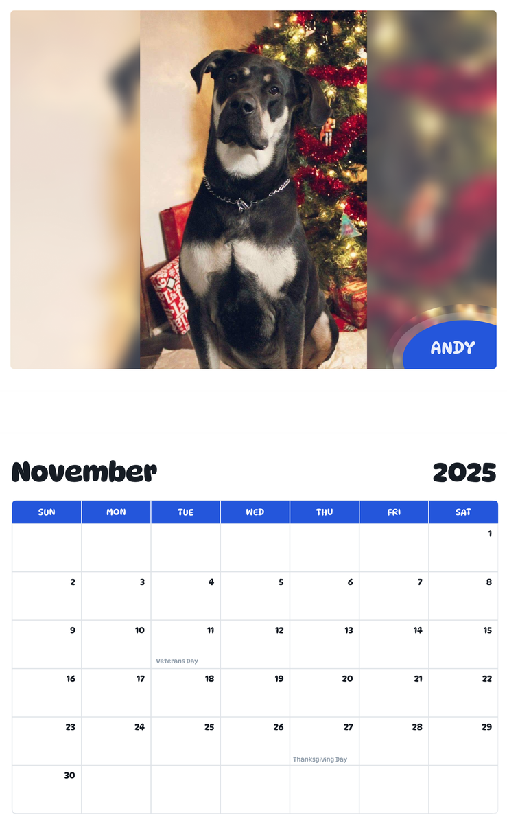 July 2025 - June 2026 Andy - Pawidols Pet Calendar