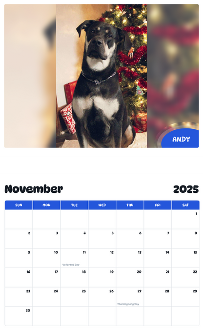 July 2025 - June 2026 Andy - Pawidols Pet Calendar