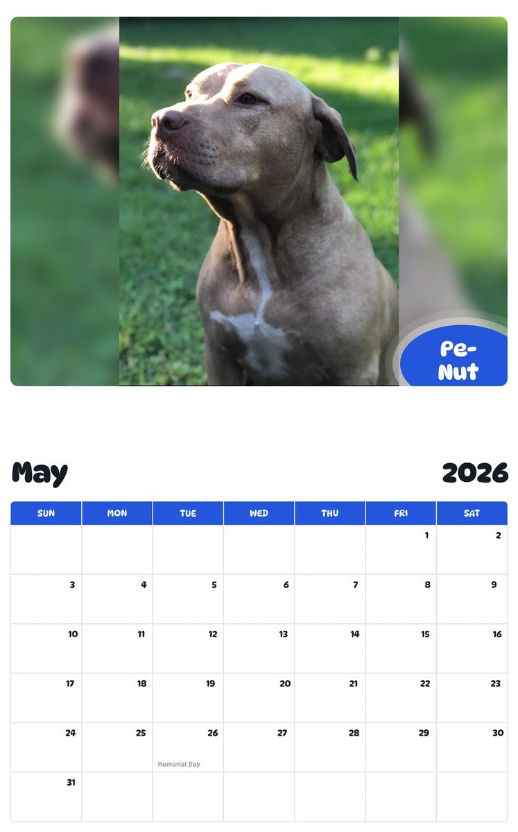 2026 - 2027 Pe-Nut - Pawidols Pet Calendar