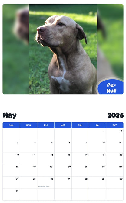 2026 - 2027 Pe-Nut - Pawidols Pet Calendar