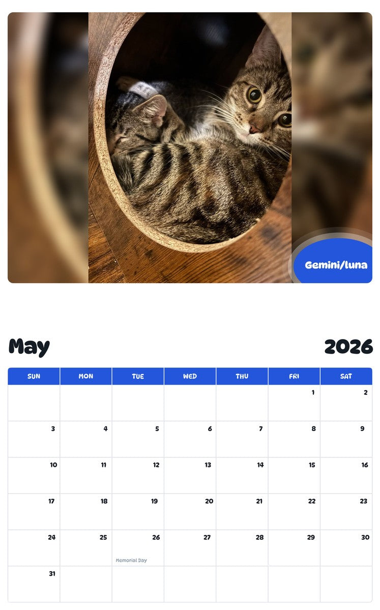 2026 - 2027 Gemini/luna - Pawidols Pet Calendar