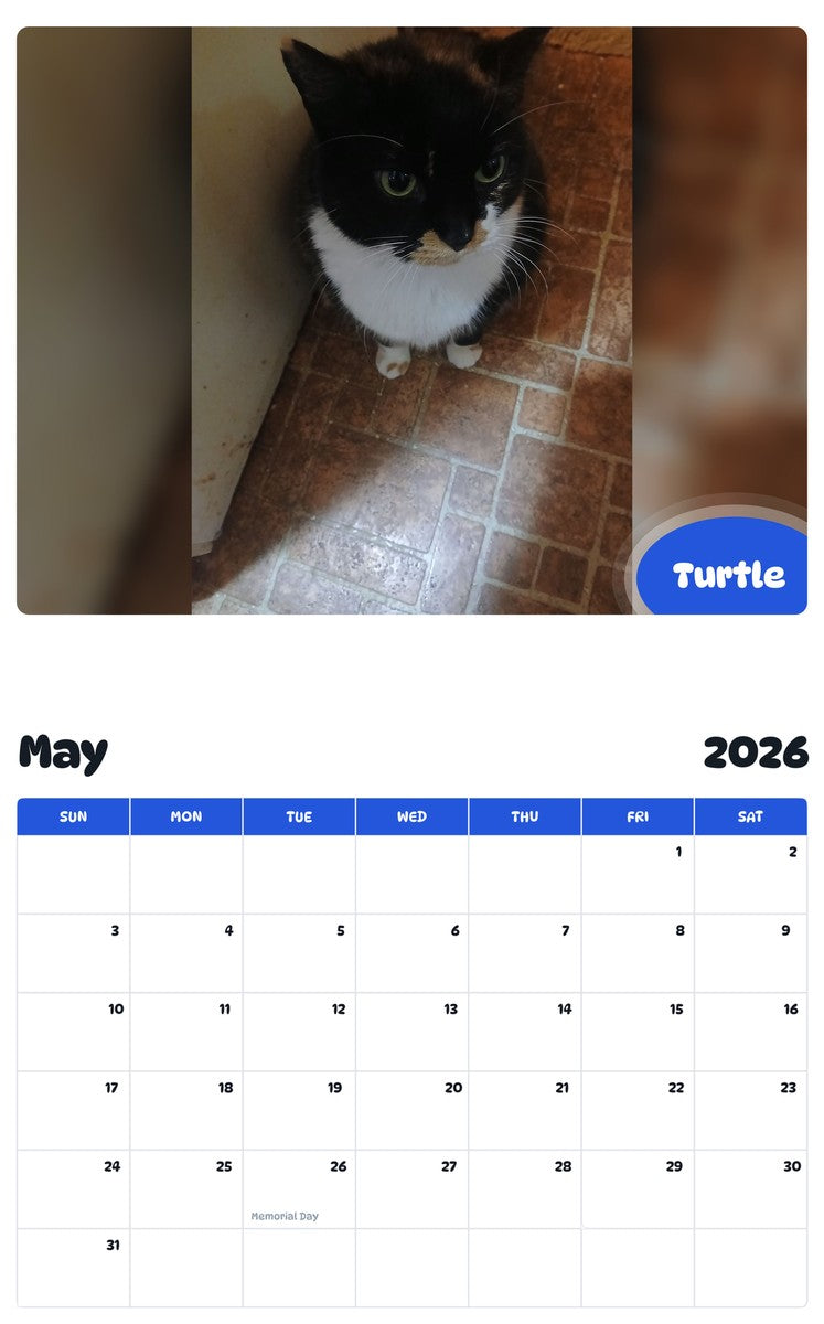 2026 - 2027 Turtle - Pawidols Pet Calendar